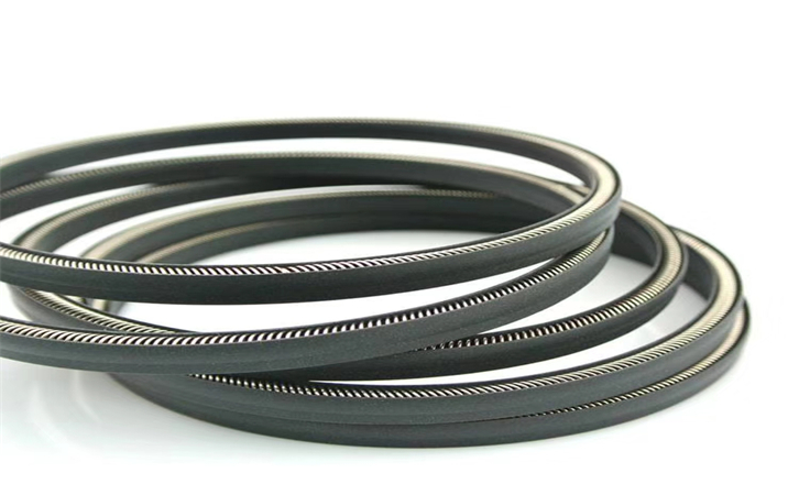 泛塞封彈簧廠家生產(chǎn)定制